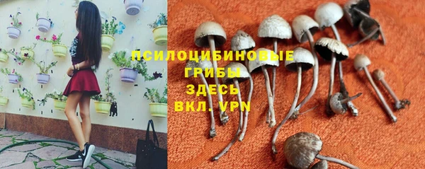 кокс Алзамай