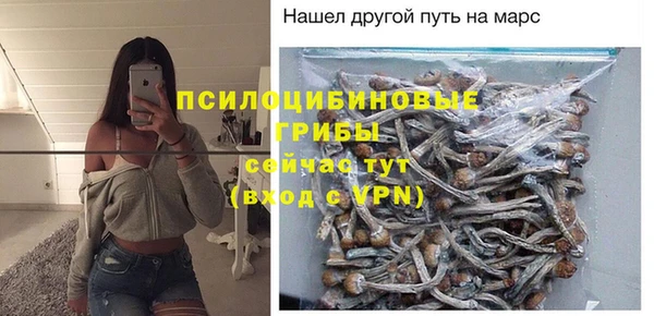 молекула духа Алексин